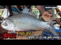 কাতলা মাছ কাটার অসাধারণ মুহূর্ত উপস্থাপনা করা হচ্ছে - দেখে নিন সম্পূর্ণ প্রক্রিয়া!