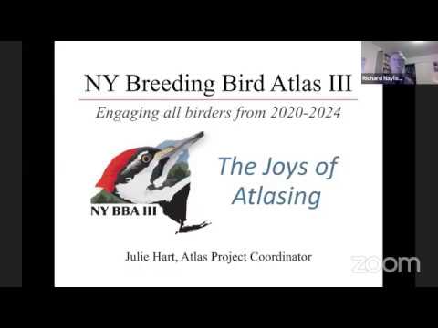 विज्ञान व्याख्यान श्रृंखला: एनवाई ब्रीडिंग बर्ड एटलस III - एटलसिंग की खुशियाँ