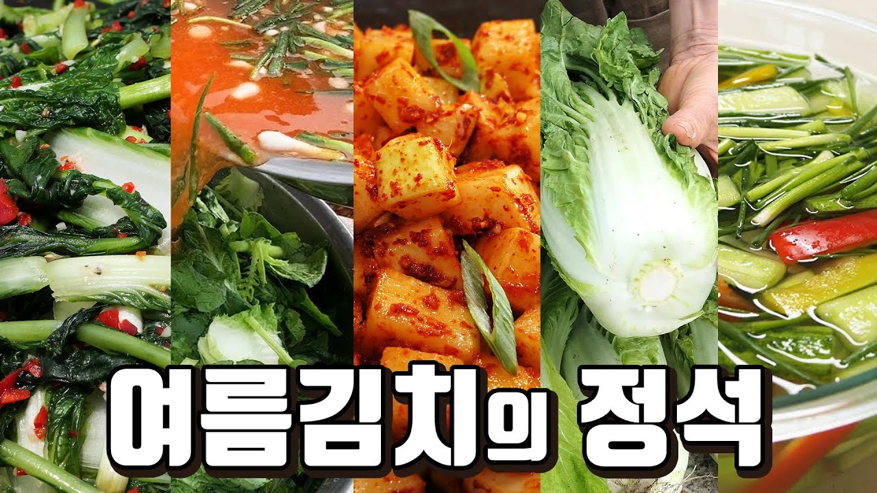 여름김치의 정석, 여름에 꼭 먹어야하는 김치 TOP5, 오이물김치, 얼갈이배추김치, 얼갈이열무김치, 얼갈이열무물김치,여름깍두기 ... 여름김치의 정석, 여름에 꼭 먹어야하는 김치 Top5, 오이물김치, 얼갈이배추김치, 얼갈이열무김치, 얼갈이열무물김치,여름깍두기 ...