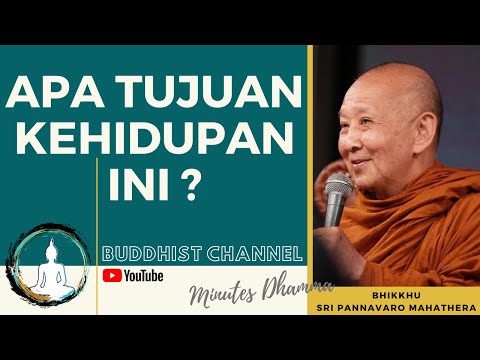 Video: Apa tujuan biara?