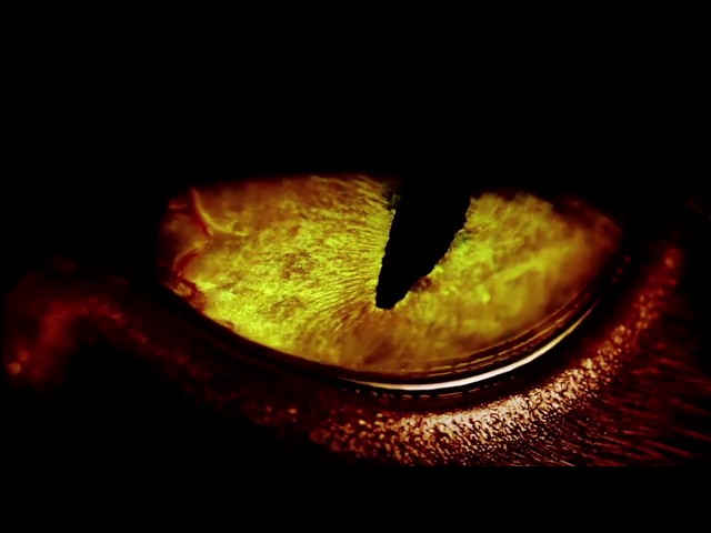 Spiral Key - Dark Path