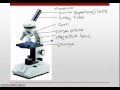 Microscope Basics Quiz