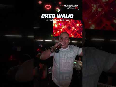 Le Roi Ta3 Galbek Cheb Walid Rai Orientale Musique Dz Algerie
