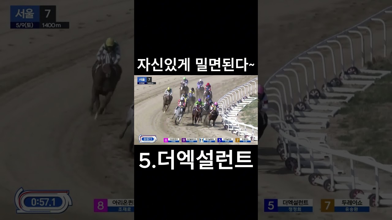 자신있게 밀면된다  #경마  #경마예상  #경마방송  #경마예상방송  #서울경마  #금요경마  #토요경마  #일요경마 #경마장