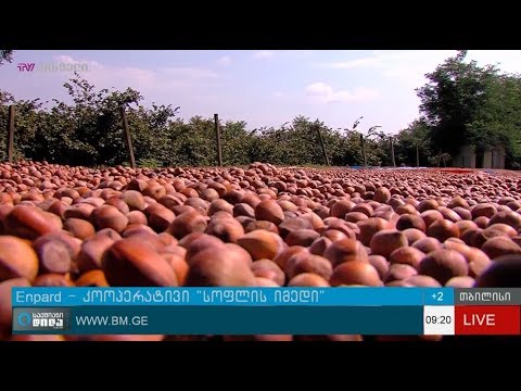 ENPARD-ის დაფინანსებული კოოპერატივი “სოფლის იმედი”