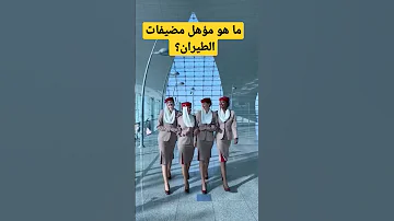 ما هى الشهادة المناسبة لوظيفة مضيفة طيران مضيفة طيران 