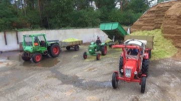 2025 Oldtimer mais hakselen