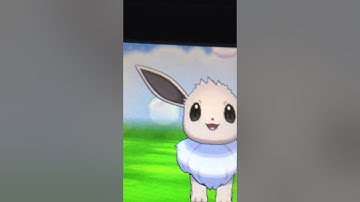 Shiny eevee pokemon x and y
