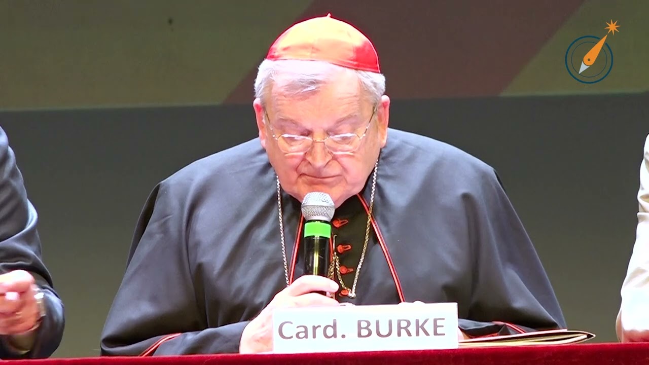 Burke: «La sinodalità contraddice la vera identità della Chiesa»