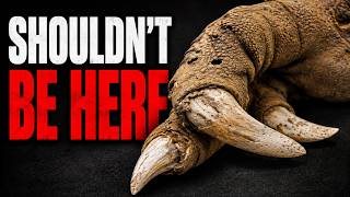 They Found 5 Objects That Shouldn’t Be Here