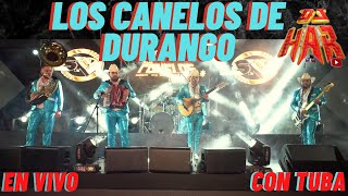 LOS CANELOS DE DURANGO CON TUBA EN VIVO! CORRIDOS Y RANCHERITAS PA' PISTEAR Y BAILAR DJ HAR!