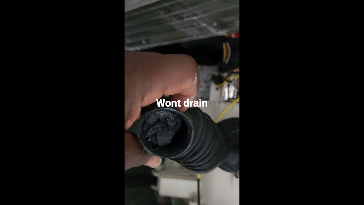 This Is The Reason Why Your Washing Machine Won T Drain Water Shorts Diagnosis