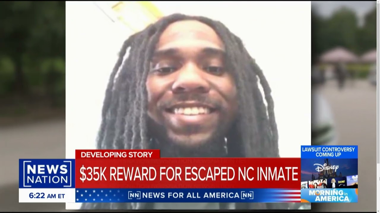 1-Deana Harley NEWSNATION 8-15-24