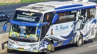 VECTOR LIVERY HARYANTO SARRECCA + PPL screenshot 4