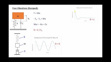Free Vibrations and the Effects of Damping with Different Damping Coefficients