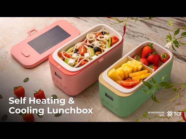 Zone Tech Heating Lunch Box - Premium Quality Electric Insulated