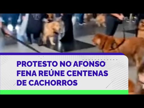 Protesto reúne centenas de tutores e cachorros no Aeroporto Internacional de Curitiba