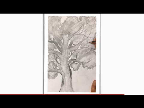 How to draw tree 🌳 || വളരെ എളുപ്പത്തിൽ മരം വരക്കാം # Episode 07 - YouTube