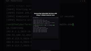 Mass-Scanning the Global Internet for Vulnerable Services with ZMap