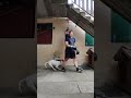 Otto - Crazy English Bull Terrier