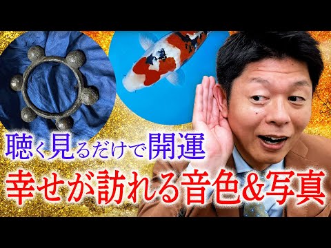夢を叶える開運手相術 島田秀平著　ポケットカラー 夢を叶える開運手相術 島田秀平著 ポケットカラー Amazon.co.jp