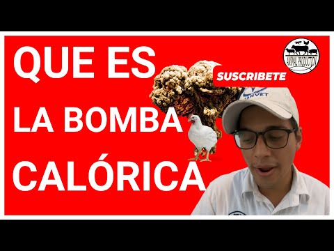 🤑 SIGA ESTO
