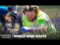 How Ex-Miners Turn Toxic Land into Lavender Farms | World Wide Waste