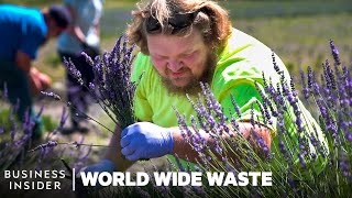 How ExMiners Turn Toxic Land into Lavender Farms | World Wide Waste