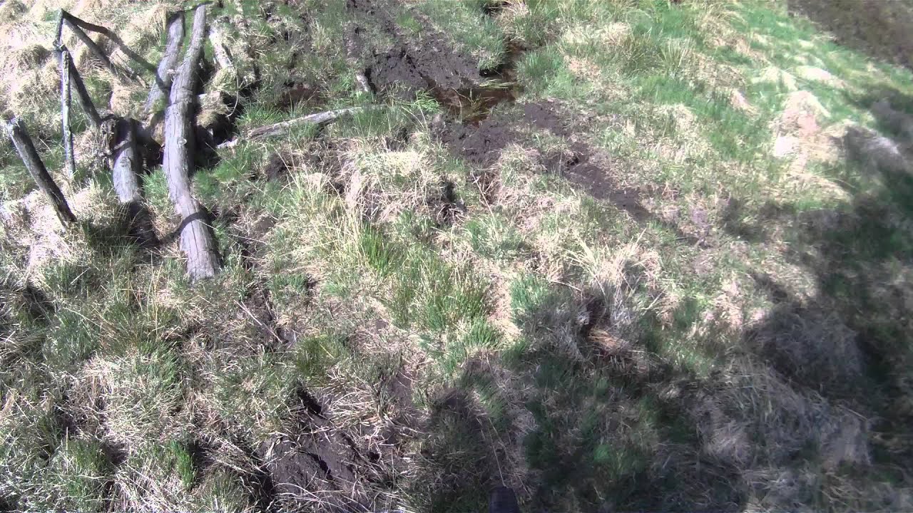 tourbieres du longeyroux 1