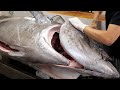 規格外すぎる。150kg超えのマグロを解体してみると。。。