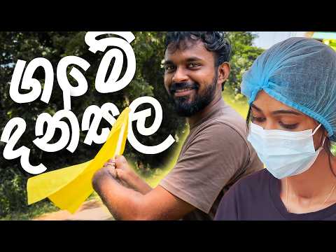 අපි දුන්නු දන්සල