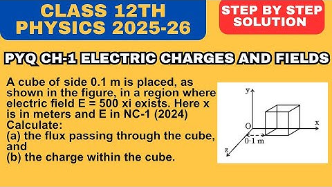 A cube of side 0.1m is placed as shown in the figure... Gauss Law Application | Class 12 Physics PYQ