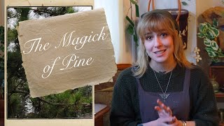 The Magick of Pine | Herbal Profile by The Green Witch 12,419 views 4 months ago 9 minutes, 35 seconds
