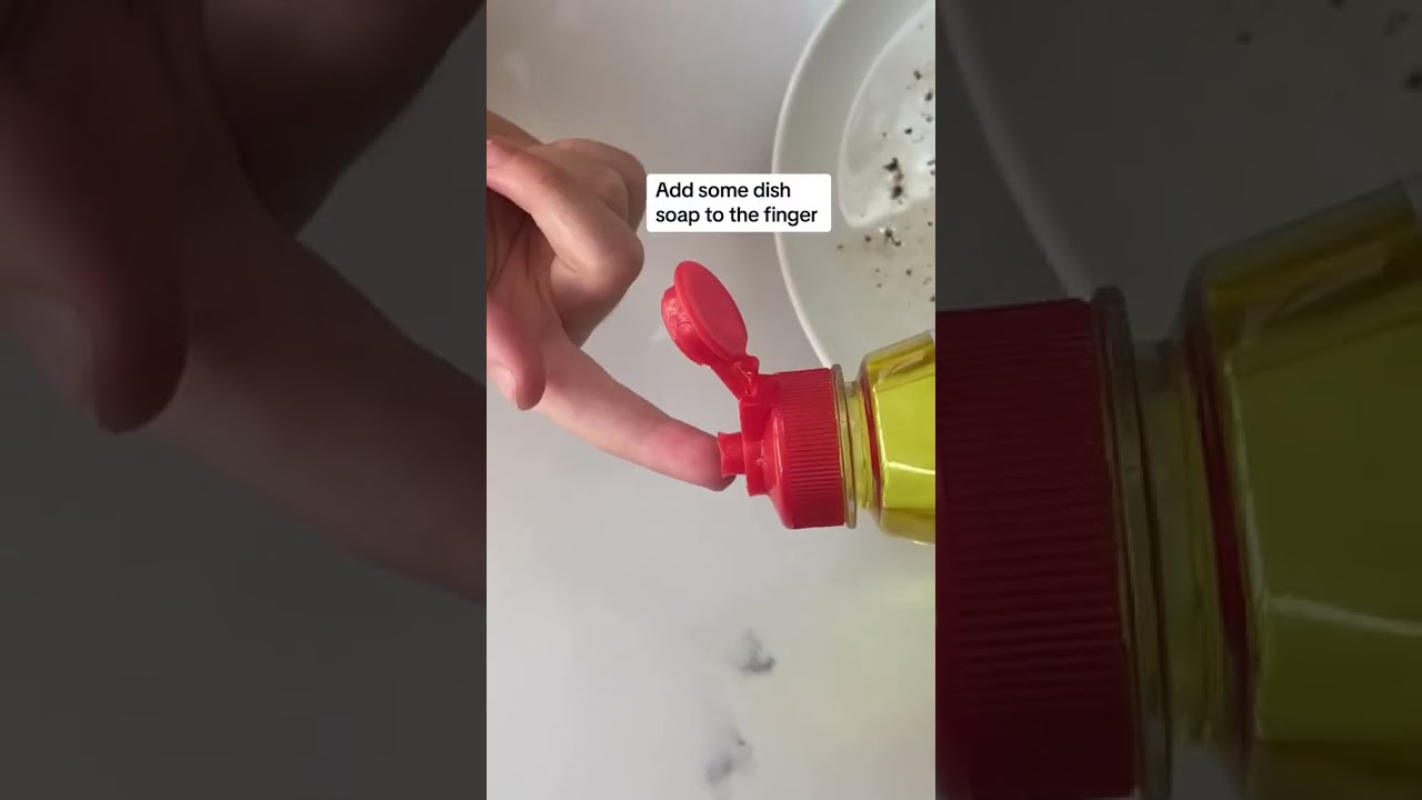  Germs Experiment For Kids Experiments