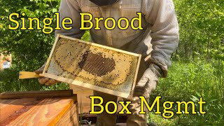 Single Brood Box Mgmt and a POWERHOUSE Hive!!!