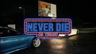 Ai Milly - Never Die