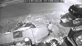 Summer St Break-in Suspect with Dog(s)