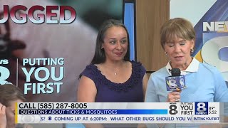 How to stop ticks in your backyard