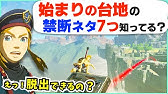 攻略 新発想な戦闘技から小ネタまで 自由だから出来る隠れ技１２コ ゼルダの伝説 ブレスオブザワイルド Youtube