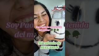 beneficios de los búlgaros