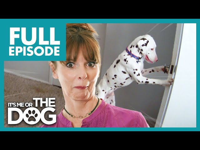 Deaf Dalmatian Opens Every Door and Tries To Escape | Full Episode | It's Me or the Dog