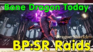 BPSR Raids! 2-3 Bone Dragon Xiolotol runs