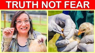 Practical Tips to Avoid BIRD FLU