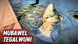 Spot mancing rawa pening