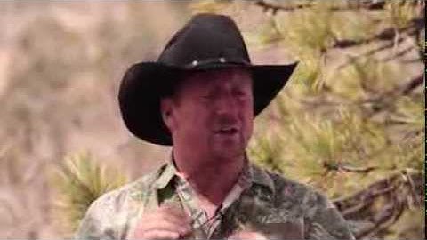 Duel Open Reed Cow Call HD