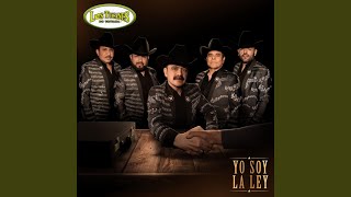 Andamos ready