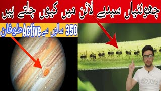 why ants walking in straight line| why oxygen not transported into eyes| earth rotational speed|.