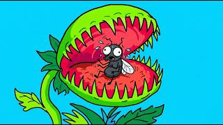 How Do Venus Fly Traps Work?