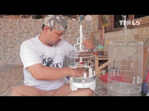 Limbah Paralon  Hasilkan Sangkar  Burung  Berkualitas YouTube