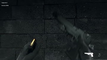 .50 GS Inspect animation | Call Of Duty MW2